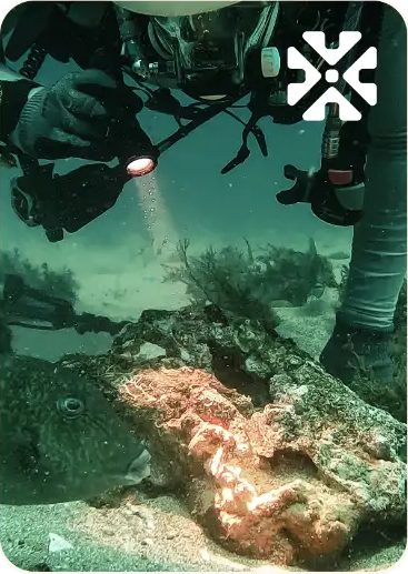 Diver exploring a wreck with the Seafarer Exploration mark.